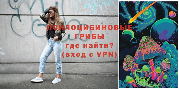 СК Пересвет