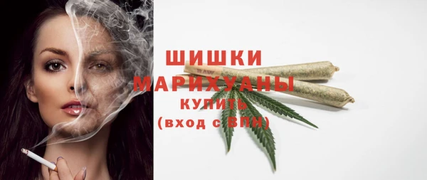 эйфоретик Богданович