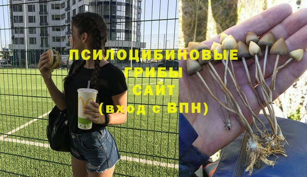 эйфоретик Богданович