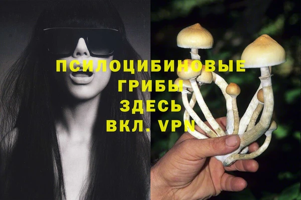 эйфоретик Богданович