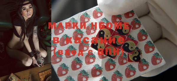 СК Пересвет