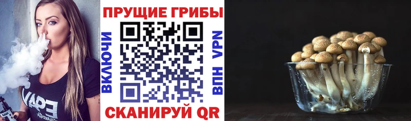Псилоцибиновые грибы MAGIC MUSHROOMS  Семилуки 